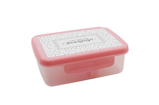 Zdravá sváča - box SCANDI růžová 700