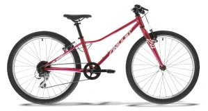 AMULET Tomcat 24", model 2026, raspberry pearl/silver - ZDARMA dopravné, seřízení, odborná montáž a blikačky TWINS!