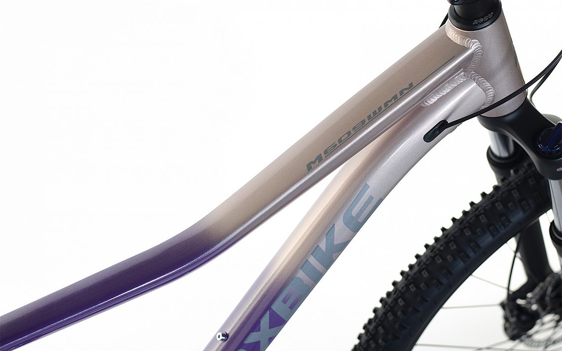 MAXBIKE TAUPO LADY 29", 2025,  barva fialová, rám 17"(L) - ZDARMA dopravné, odborná montáž, seřízení a sada světel!