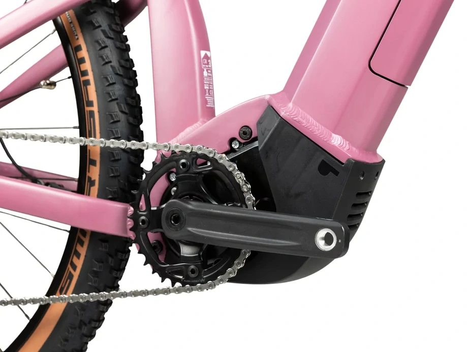 Pells Thorr Panasonic 1, pneu 29", rám S, model 2026, barva Mat raspberry - ZDARMA dopravné, odborná montáž, seřízení, dárkový poukaz na nákup příslušenství!