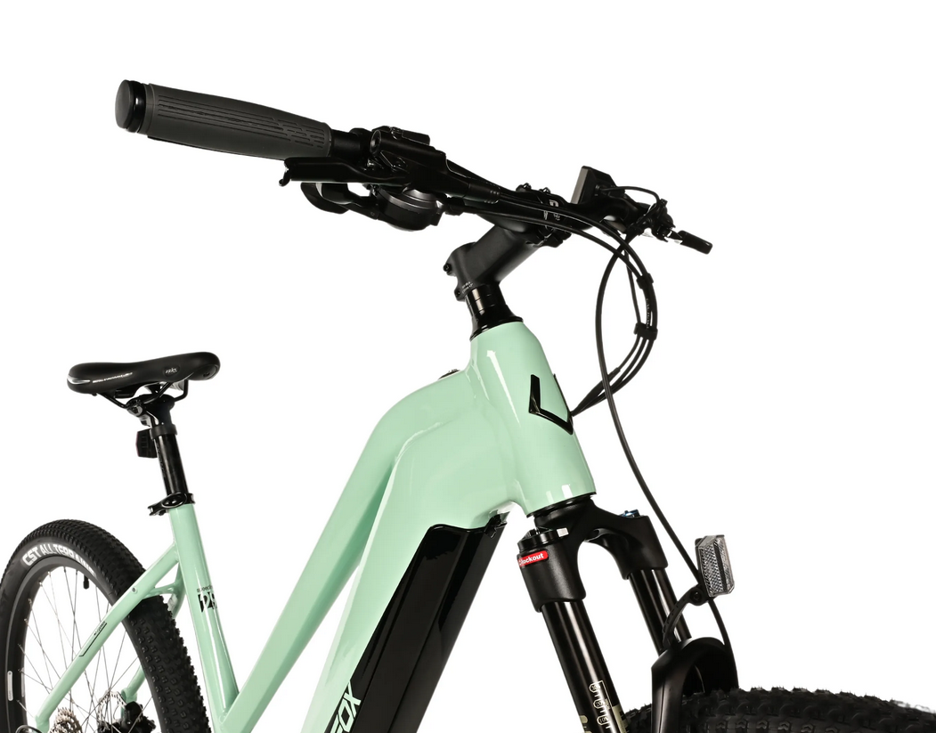 Leader Fox SWAN 29", dámské, model 2025-3, light green/black - ZDARMA dopravné, odborná montáž, seřízení!