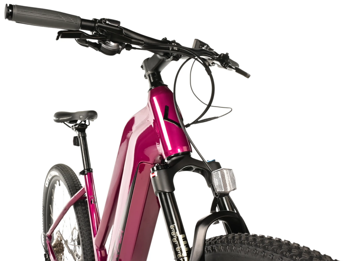 Leader Fox SWAN 29", dámské, model 2025-2, raspberry - ZDARMA dopravné, odborná montáž, seřízení!