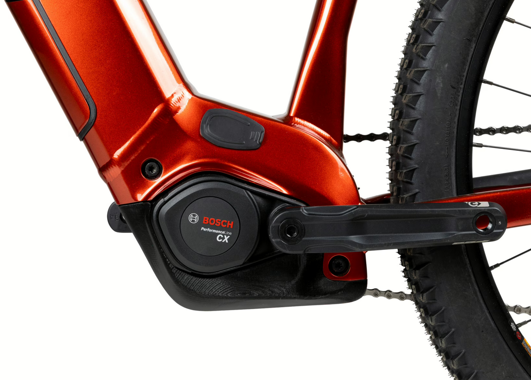 PELLS Thorr Bosch 2, pneu 29", model 2025, baterie 800Wh - ZDARMA dopravné, odborná montáž a seřízení!