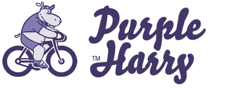 Purple Harry Super Sponge - mycí houba