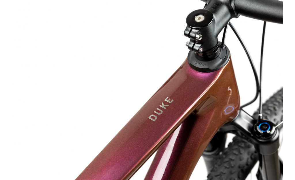 PELLS Duke 1 Eggplant 29" - ZDARMA dopravné, odborná montáž, seřízení a dárkový poukaz na nákup příslušenství!