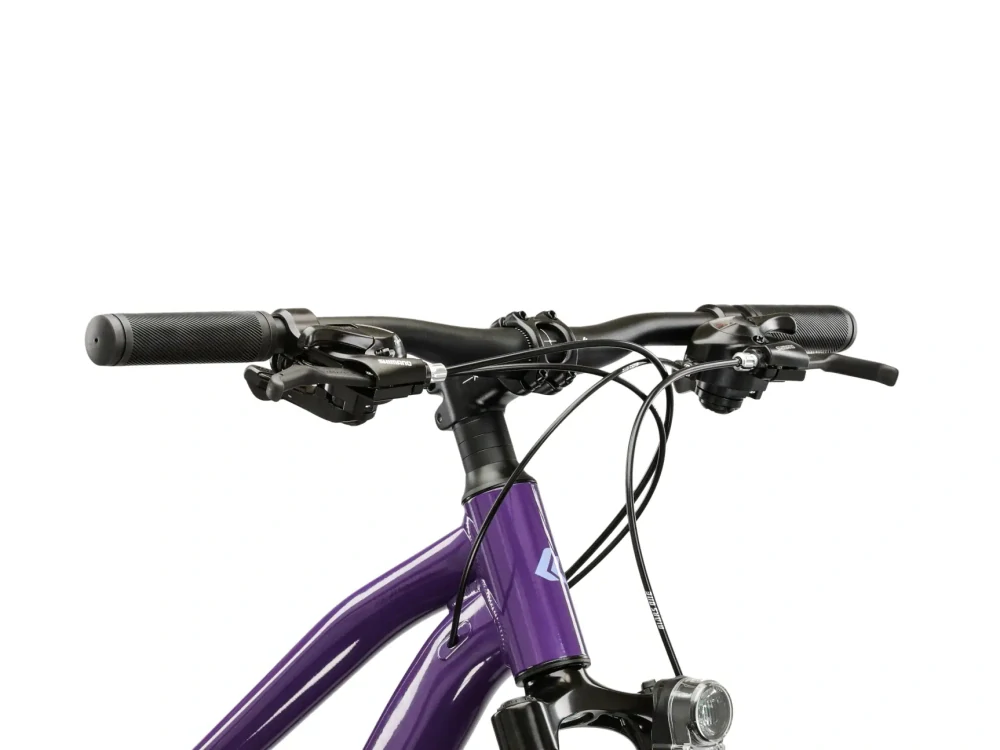 KROSS LEA 2.0 EQ, model 2026, pneu 29", barva fialová/fialová - ZDARMA dopravné, seřízení, odborná montáž a sada světel!