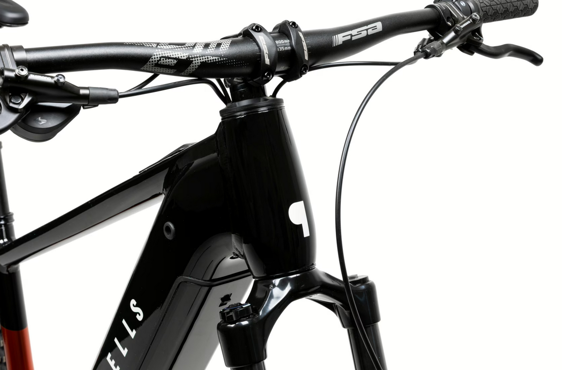 PELLS Thorr Bosch 2, pneu 29", model 2025, baterie 800Wh - ZDARMA dopravné, odborná montáž a seřízení!