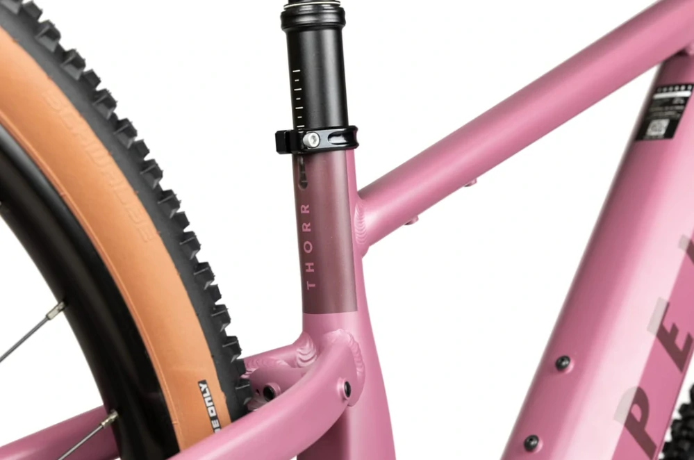 Pells Thorr Panasonic 1, pneu 29", rám S, model 2026, barva Mat raspberry - ZDARMA dopravné, odborná montáž, seřízení, dárkový poukaz na nákup příslušenství!