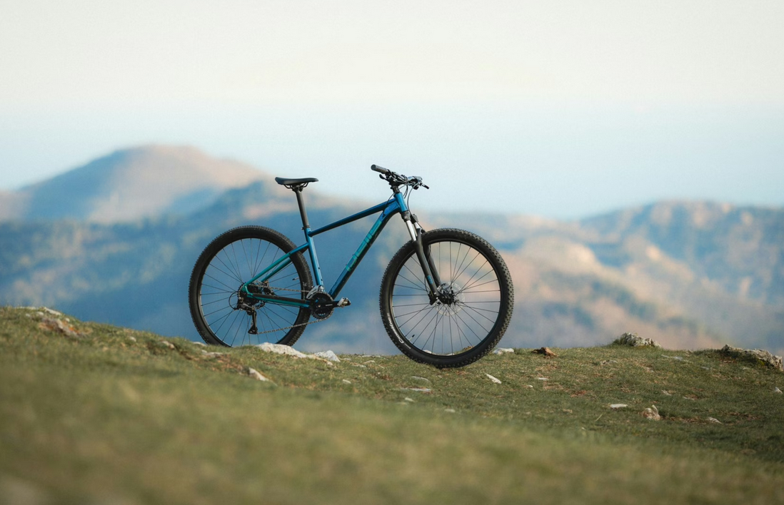  PELLS Razzer 3 29", rám L, model 2025, barva Blue/mint - ZDARMA dopravné, odborná montáž a seřízení!