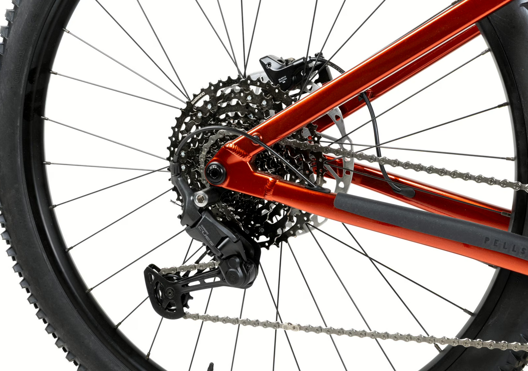 PELLS Thorr Bosch 2, pneu 29", model 2025, baterie 800Wh - ZDARMA dopravné, odborná montáž a seřízení!