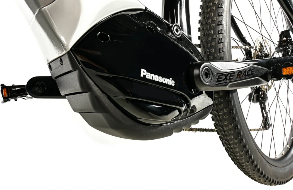 Leader Fox OREM PANASONIC 29", model 2025-2, black - ZDARMA dopravné, odborná montáž, seřízení!