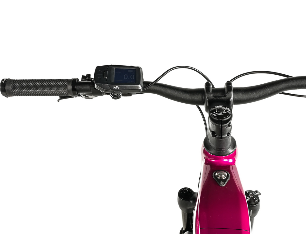 Leader Fox OREM PANASONIC 29", model 2025-1, raspberry - ZDARMA dopravné, odborná montáž, seřízení!